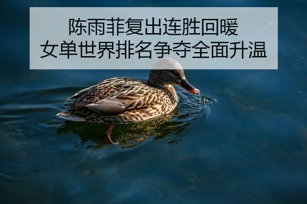 陈雨菲复出连胜回暖 女单世界排名争夺全面升温（SANYI）